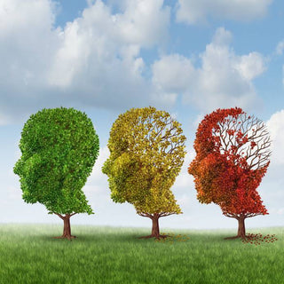 Brain Aging Due to Dementia