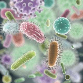 How to Find Out if You Have a Healthy Microbiome