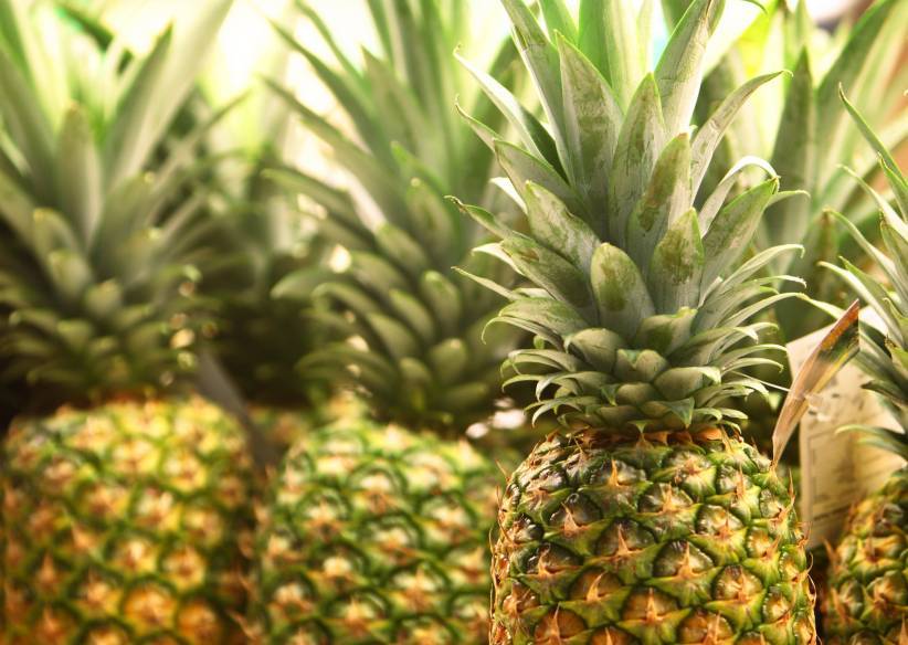 Bromelain and Quercetin Balance the Natural Inflammatory Response