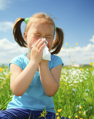 Preventing Allergies in Children