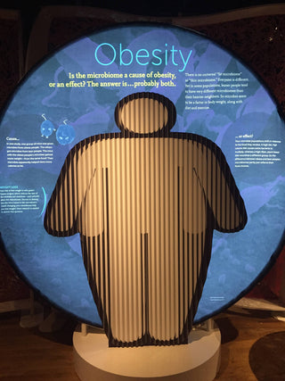 The Secret World Inside You - Obesity (2)