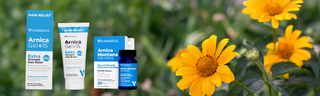 VitaMedica arnica tablets, gel, and cream pictured next to arnica montana flowers.