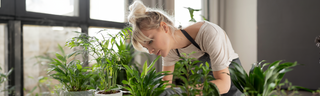 Young woman caring for potted plants in a bright room with windows