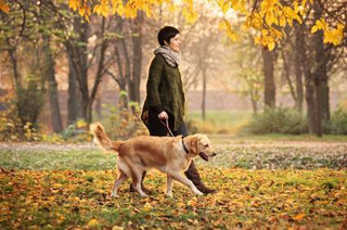 11 Health Benefits of Having Pets