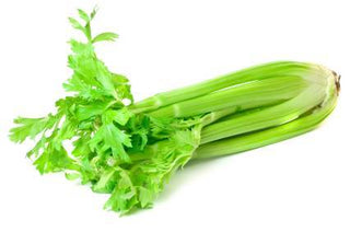 Celery