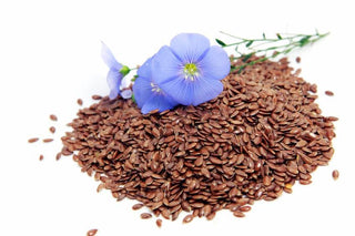 Flax Seeds