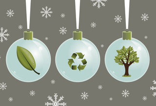 How to Have a Eco Friendly & Green Holiday