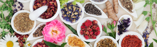Colorful natural healing ingredients for wellness on a table in bright light