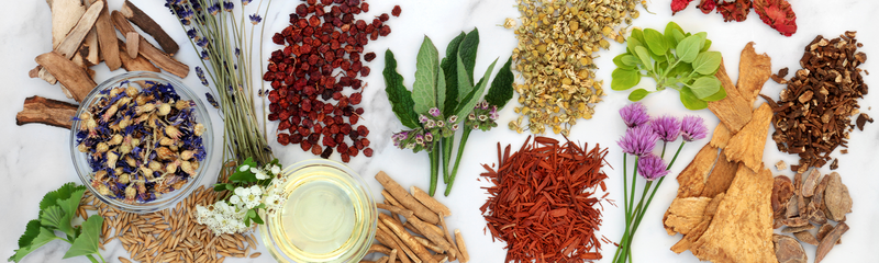 A colorful assortment of herbs to increase immunity on a marble counter top, harvested to make immune-boosting herbal remedies. 