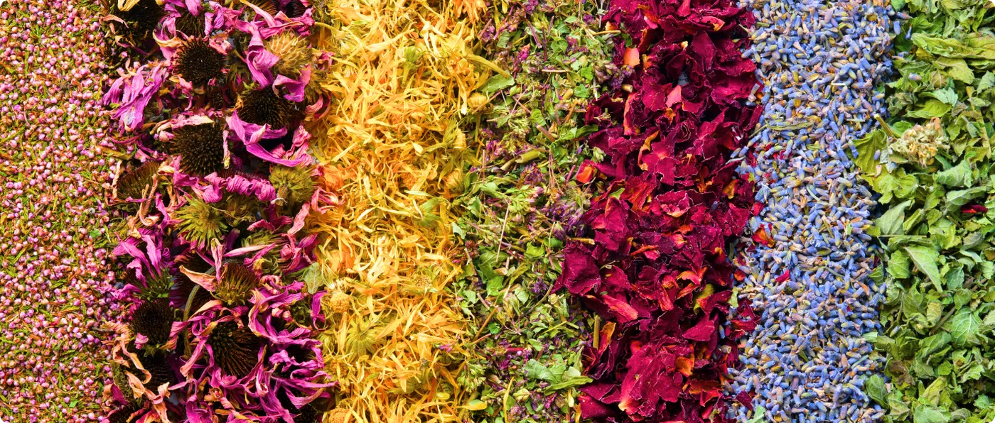 Botanical Blend